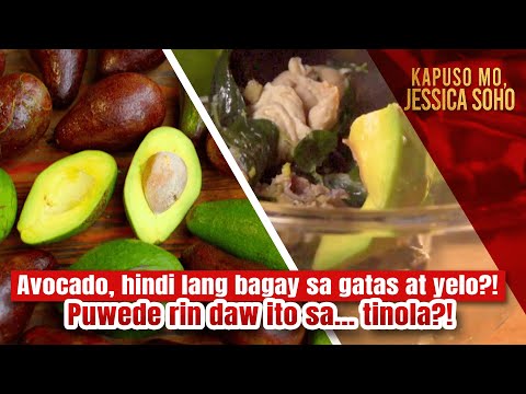 Avocado, hindi lang bagay sa gatas at yelo? Puwede rin daw ito sa tinola?! | Kapuso Mo, Jessica Soho