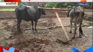 ZEE24TAAS : Ratnagiri No Rain Today Wkt