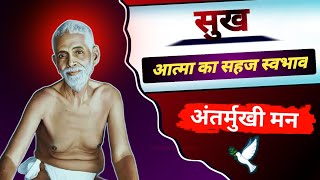 what is happiness raman maharshi in hindi? सुख और दुःख क्या है? ~अचिंत्य