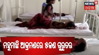 Rayagada ରେ ମହୁମାଛି ଆକ୍ରମଣରେ ଛାତ୍ରର ମୃତ୍ୟୁ  | BIG BREAKING NEWS