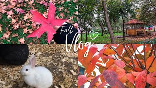 Cozy fall vlog 🍁| فلوق يوم في حياتي ,اجواء الخريف في تركيا