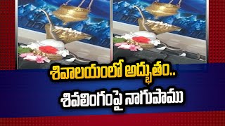 శివాలయంలో అద్భుతం.. శివలింగంపై నాగుపాము| Zilla Diary | Swatantra TV