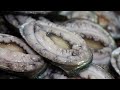 process of making abalone rice porridge. amazing korean seafood factory