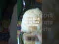 রবিবার মানে প্রিয় খাবার খাওয়ার দিন breakfast sunday youtube short sunday funday eating puri