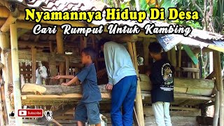 Nyamannya Hidup Di Desa | Cari Rumput Untuk Kambing