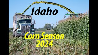 Idaho Corn Choppin!