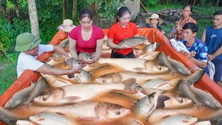 With Sister-In-Law(Daily Farm) Harvest A Lot Of Fish To Sell - Use Truck As Fish Tank. Ly Hieu Hieu