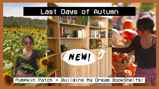 Last Days of Fall Vlog🍂 - Building my dream Library! Pumpkin Patch + Cozy nights in