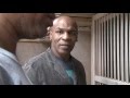 Mike Tyson - Birdman of Boxing