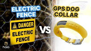 ELECTRIC FENCE VS. GPS COLLARS: FINDING THE BEST SOLUTION FOR YOUR DOG | WOOF WISDOM EP 6