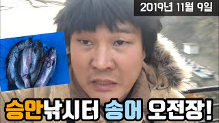 승안낚시터! 송어 오전장! 마릿수 잡기! 송어루어낚시 겨울낚시! 대운 떡상 행운 로또 천운 백만!