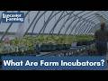 Incubating the Next Generation of Farmers