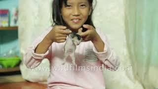 Cute Bhutanese girl plays with tiny new born kittens