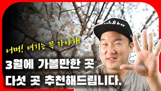 3월에 가볼만한 필수 여행지 다섯 곳 추천해드립니다 / 동백꽃이 만발한 여행지 외 추천 / 국내여행지 추천