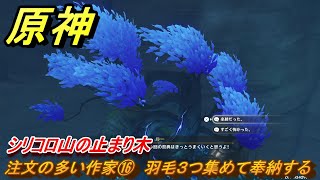 原神　注文の多い作家⑯　羽毛３つ集めて奉納する　シリコロ山の止まり木　霧海紀行　【gensin】