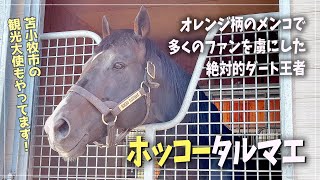 国内ダートG1レース10勝の絶対的王者♪ホッコータルマエ【キングカメハメハ産駒】