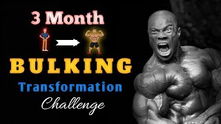 Bulking Transformation 3 Month Challenge | Bulking Transformation| weight gain kaise kare?