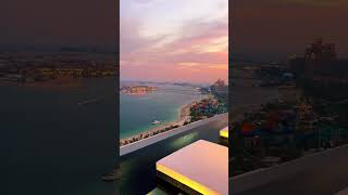Dubai City View #youtube #shorts #shortsvideo #dubai