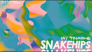 Snakehips And Tinashe Whos Gonna Love You Tonight Visualizer