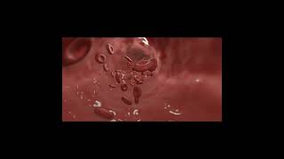 Blood flow in 3D animation #shorts