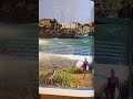 pacific longboarder magazine 8 pages on tia