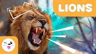LIONS 🦁 Animals FOR KIDS - Episode 1