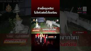 ช้างขี้หงุดหงิด! โมโหหิวบุกพังประตูรั้วโรงเรียน | ข่าวอรุณอมรินทร์