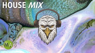Upbeat Study Music House Mix for Deep Focus - Isochronic Tones
