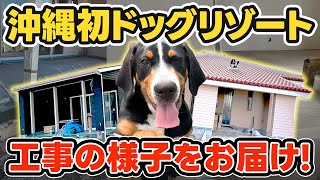 愛犬と沖縄旅行に最適なドッグリゾートの最新の様子をお届け！【わんそーれ沖縄 古宇利島】