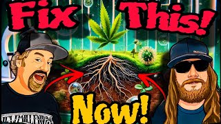 This is The Secret to Growing The BEST Cannabis in Any Growing Medium!