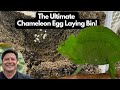 The Ultimate Chameleon Egg Laying Bin!