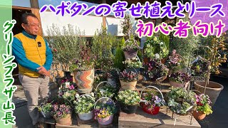 初心者の園芸12月【ハボタン＋何を植える？】少ない株数で「安く」「簡単」に作れる寄せ植えやリース作品を紹介【園芸】【ガーデニング】