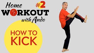 Martial Arts for Beginners - How to Push Kick - Home Workout #2