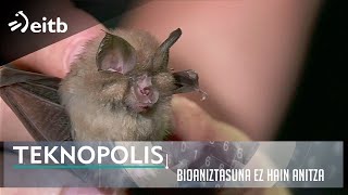 TEKNOPOLIS: Bioaniztasuna ez hain anitza