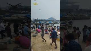 🐠വിഴിഞ്ഞം 🦈ഫ്രഷ് മീൻ 🐳#viralvideos #shortvideo #Kerala #kingfish