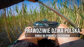 Dzikie Pomorze - Biwak nad Korytnicą - Dzika Polska 15