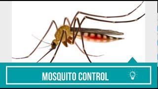 Mosquito Control While Camping