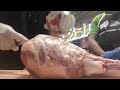 whole lamb leg half boneless french cut