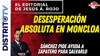 🔴EDITORIAL del DÍA🔴 DESESPERACIÓN ABSOLUTA EN MONCLOA, SÁNCHEZ PIDE AYUDA A ZAPATERO PARA SALVARLO