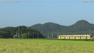 近江鉄道：長谷野－大学前（’20.8/25）　　　　　　　　　　　　　　　　巛巛