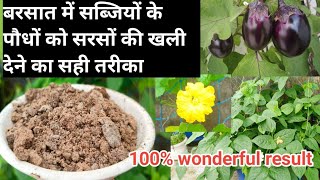 बरसात में सब्जियों के पौधों को सरसों की खली कैसी दें /how to fertilize vegetable plants in rains