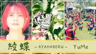 「綾蝶〜AYAHABERU〜」YuMe