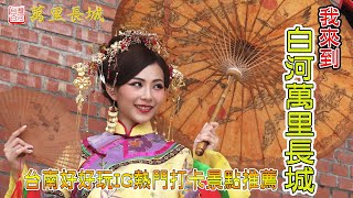 2020愛你愛你「台灣白河萬里長城」台南好好玩IG熱門打卡景點推薦【4K】(財金錄影創作)