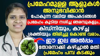 പ്രമേഹമുള്ള ആളുകൾ അനുഭവിക്കാൻ പോകുന്ന വലിയ അപകടങ്ങൾ|ഈ ഇല കഴിച്ചാൽ മതിനിങ്ങളുടെ പ്രമേഹം പമ്പ കടക്കും