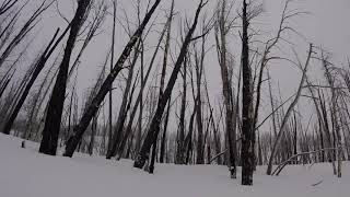 union pass snowmobiling