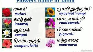 தமிழர்கள்  தெரிந்து  கொள்ளவேண்டியவை