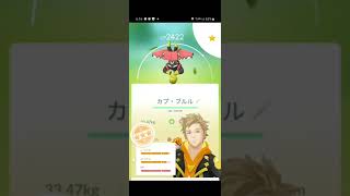 カプ系で一番強いのは？【ポケモンgo　カプ・コケコ　カプ・テテフ　カプ・ブルル　カプ・レヒレ】