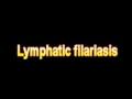 What Is The Definition Of Lymphatic filariasis