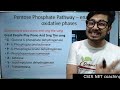 pentose phosphate pathway mnemonics tricks to remember pentose phosphate pathway