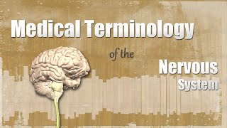 Medical Terminology of the Nervous System